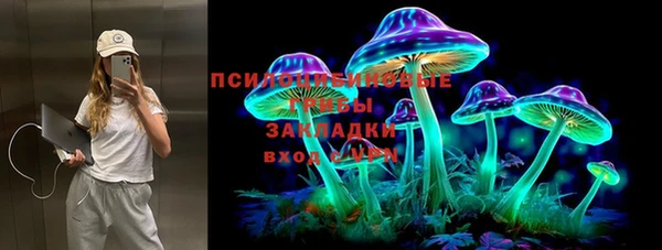 дурь Алексеевка