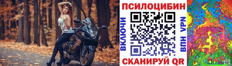Псилоцибиновые грибы Psilocybine cubensis  Кировград 